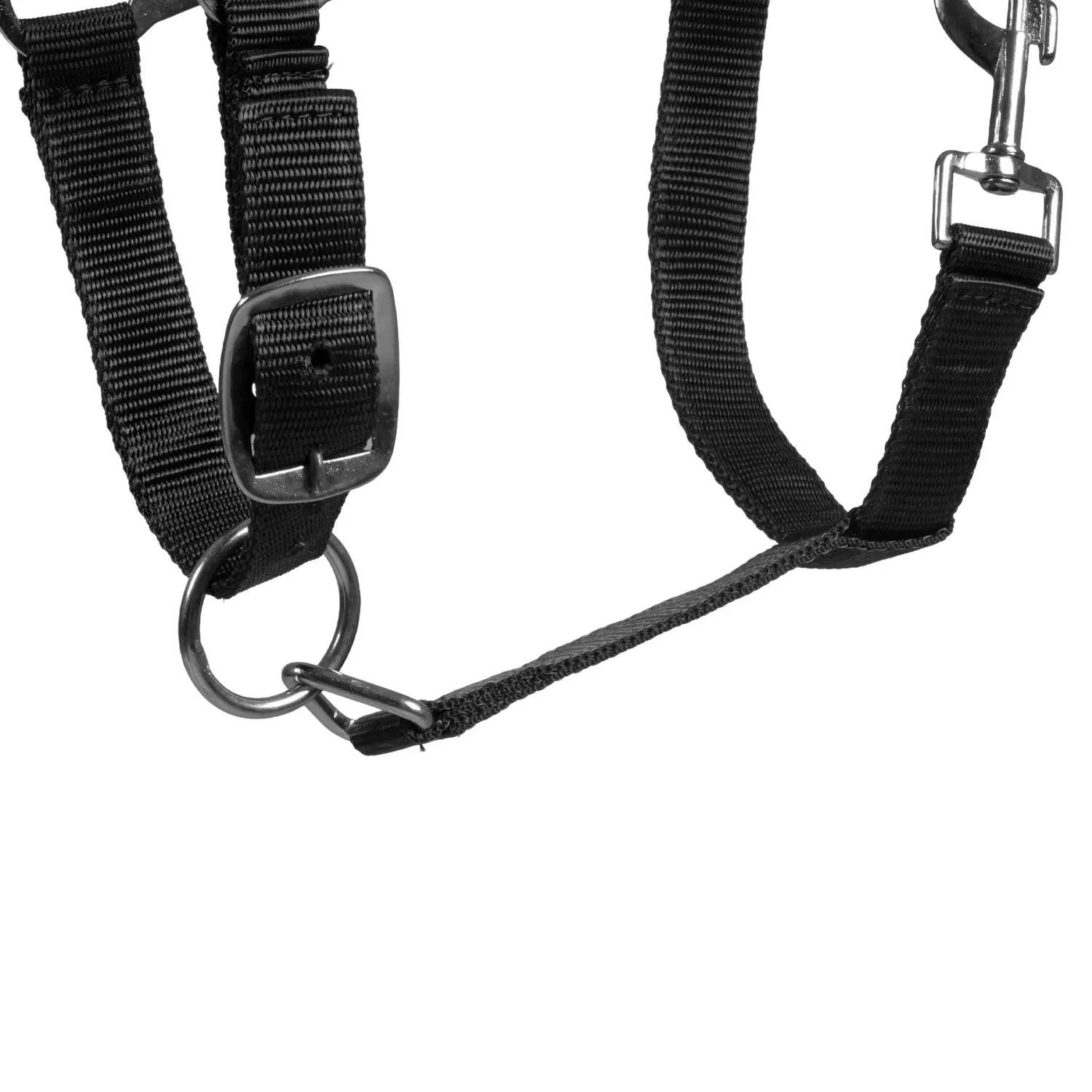 Cabezada de nailon con doble ajuste 4/4