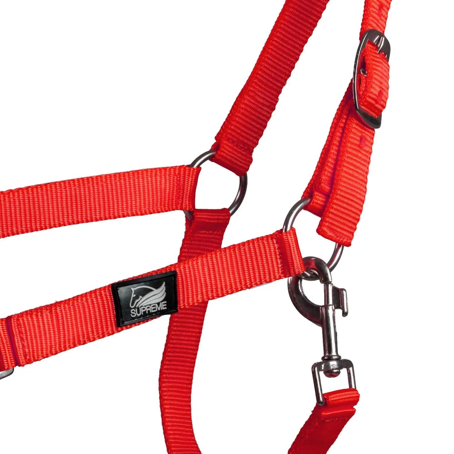 Cabezada de nailon con doble ajuste 3/4