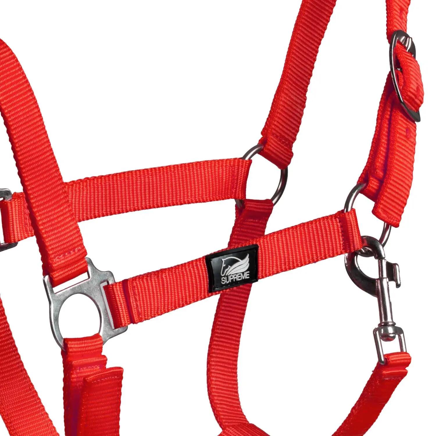 Cabezada de nailon con doble ajuste 2/4
