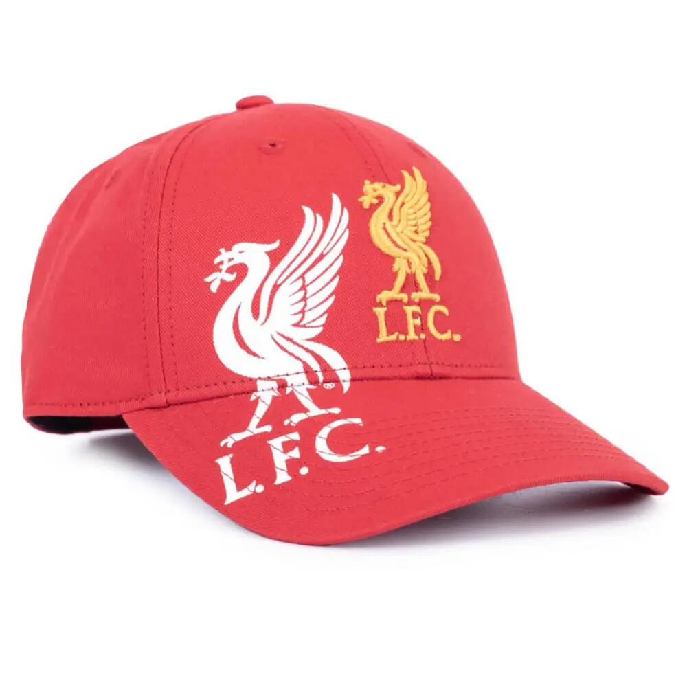 LIVERPOOL FC picture