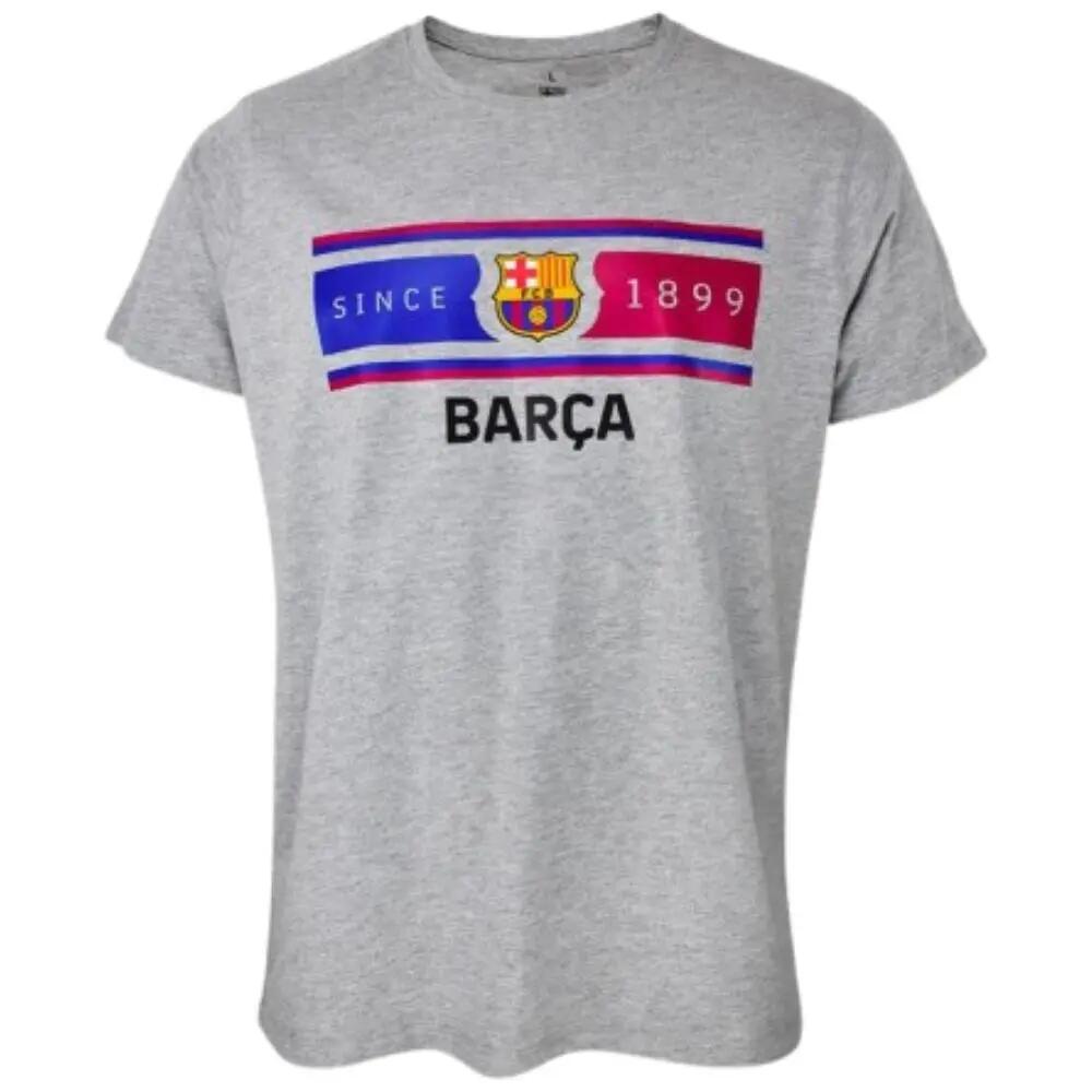 FC BARCELONA picture