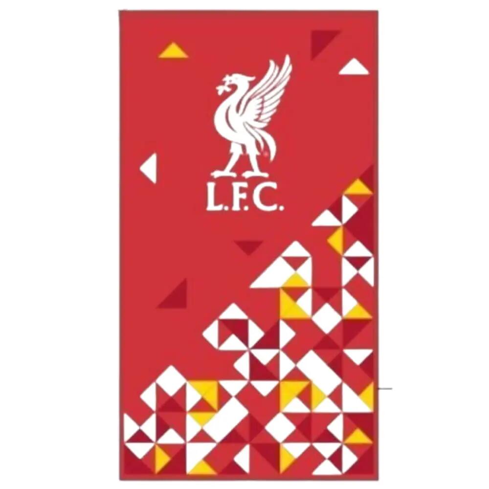 LIVERPOOL FC picture