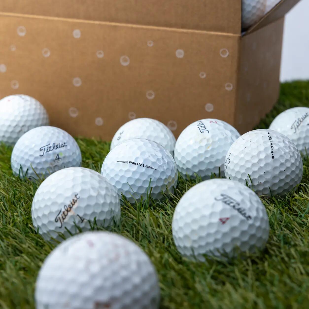 Titleist Pro V1 - Golfballen lakeballs 75 stuks - Wit 2/4