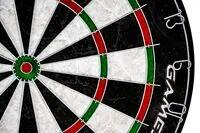 Terč na šipky Gamesson Tournament dart 5/5