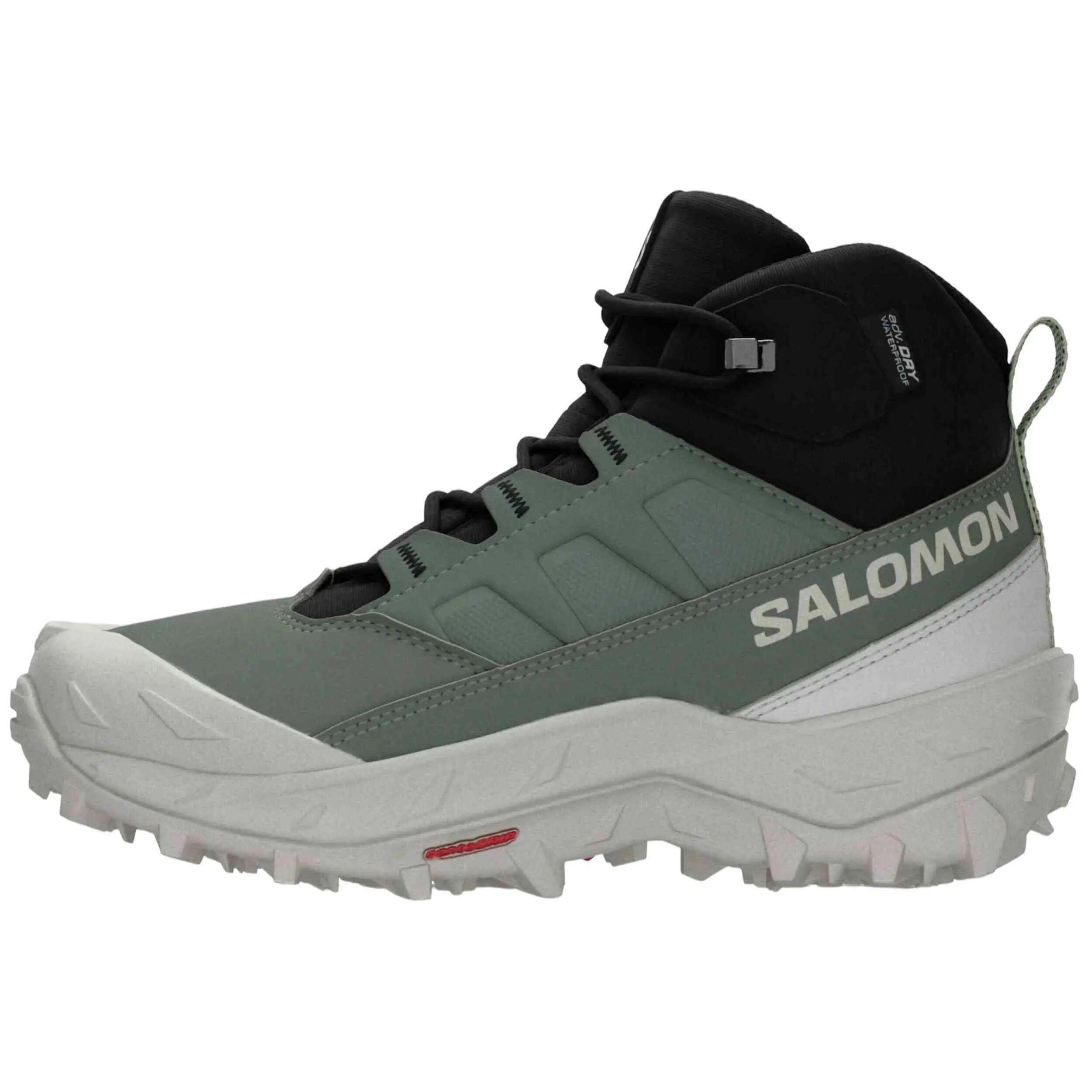 SALOMON picture