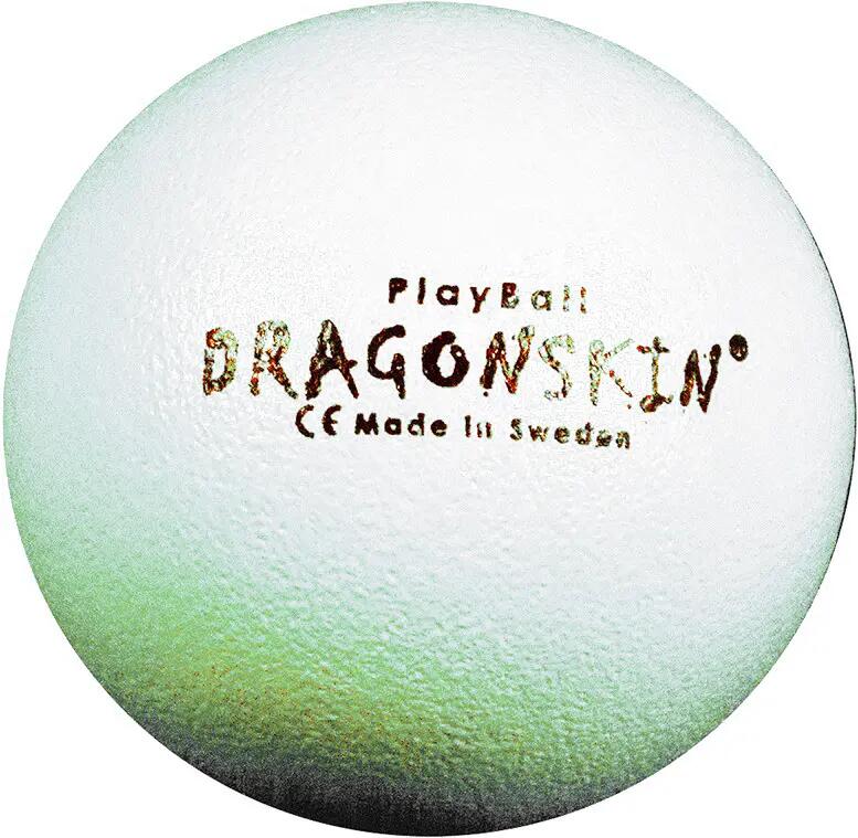 DRAGONSKIN picture
