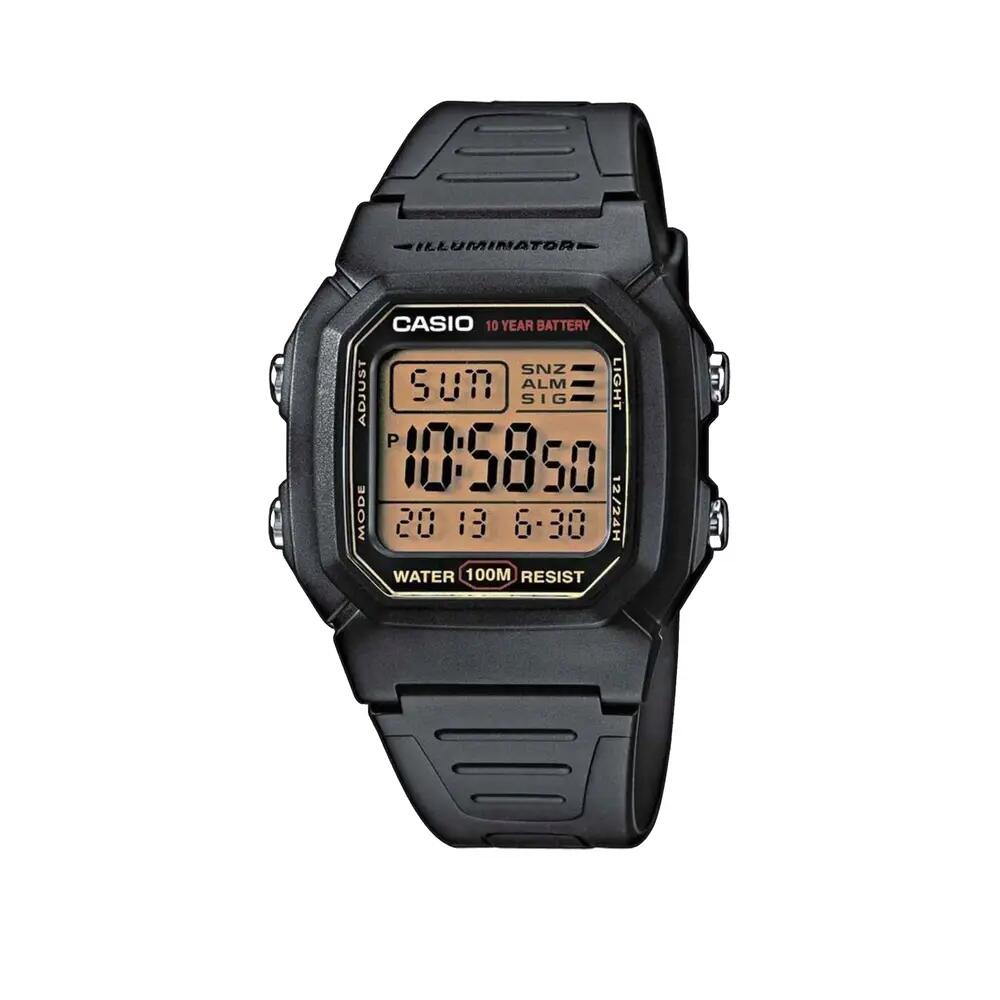CASIO picture