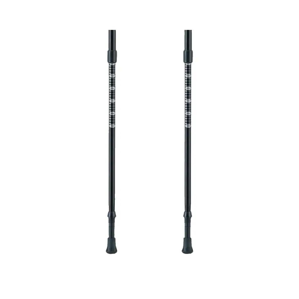 Trekking Poles Ferrino GTA Blue 4/5