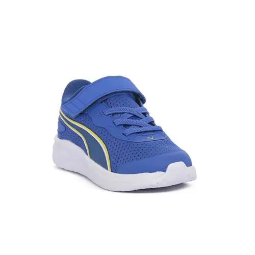PUMA picture