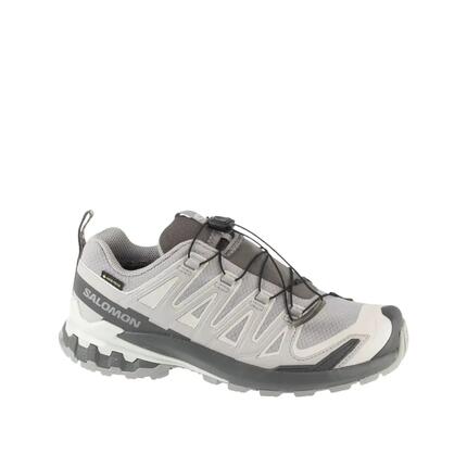 Chaussures de trail Salomon XA Pro 3D V9 GTX Femme
