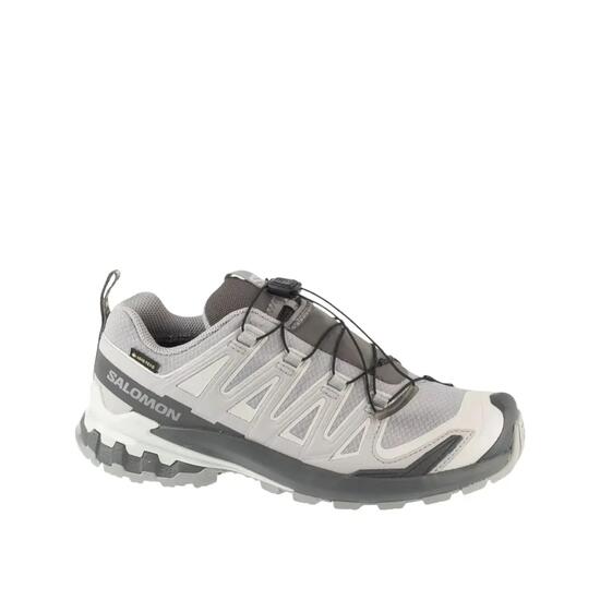Chaussures de trail Salomon XA Pro 3D V9 GTX Femme