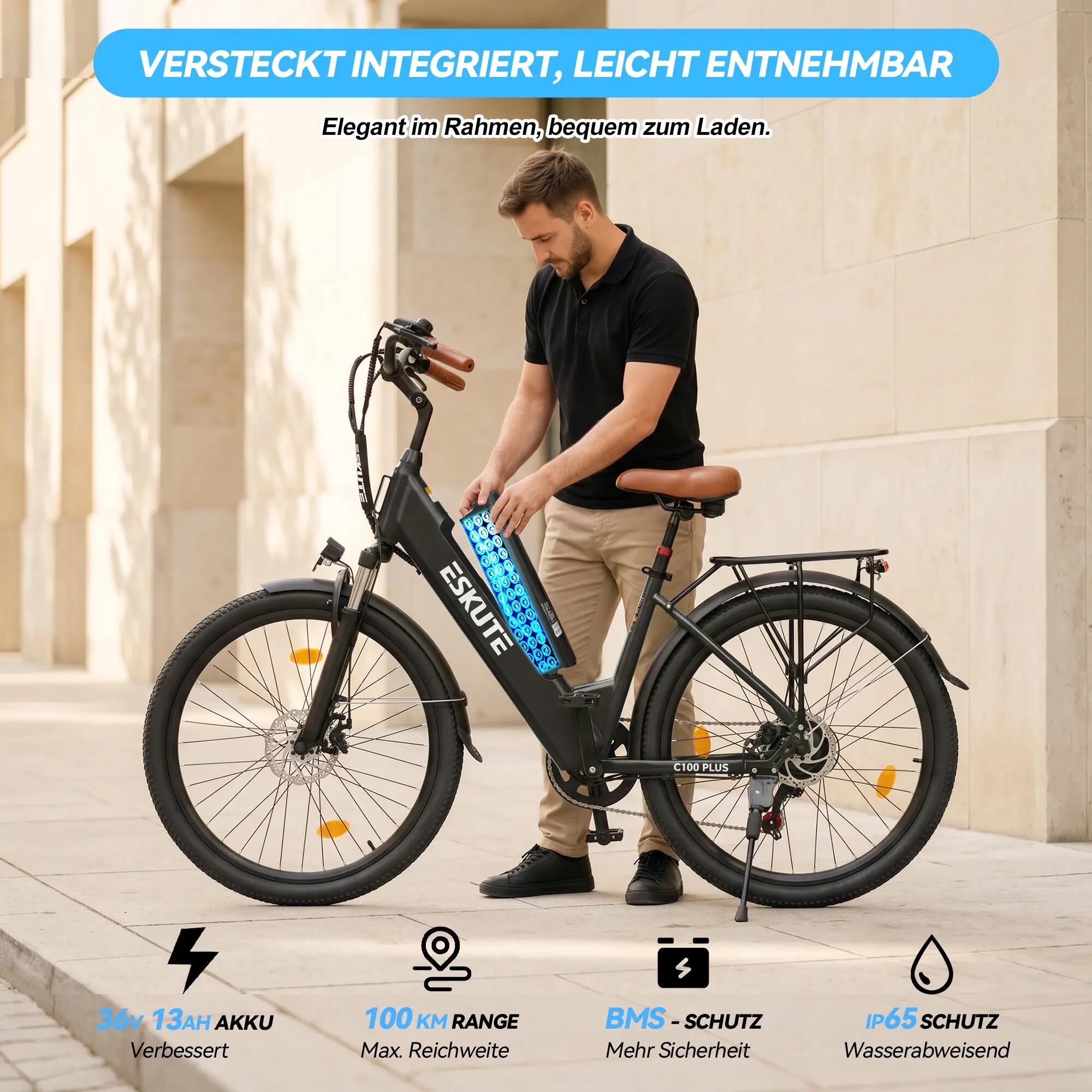 Eskute C100 Plus elektromos kerékpár felnőtteknek, 250 W-os motor 6/8