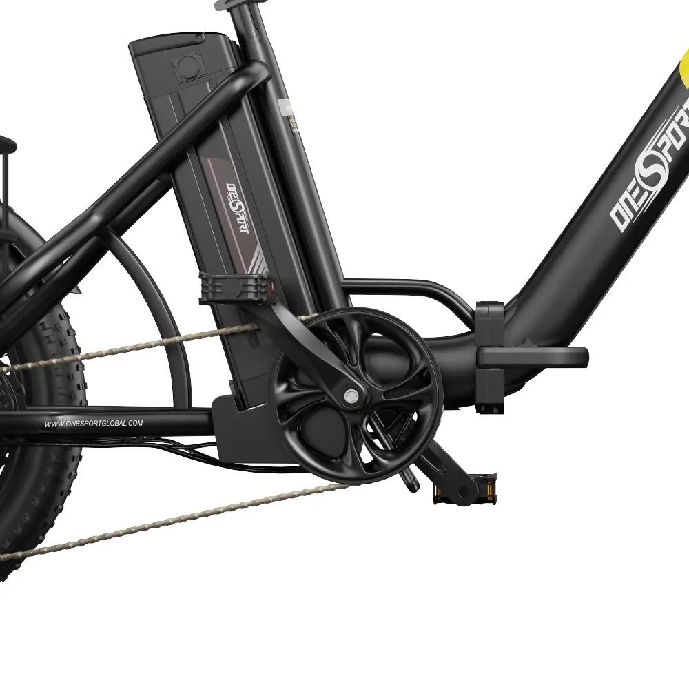 ONESPORT OT30 PRO Triciclo de carga, 48V 18Ah, 20 polegadas, todo terreno, 180kg 10/13