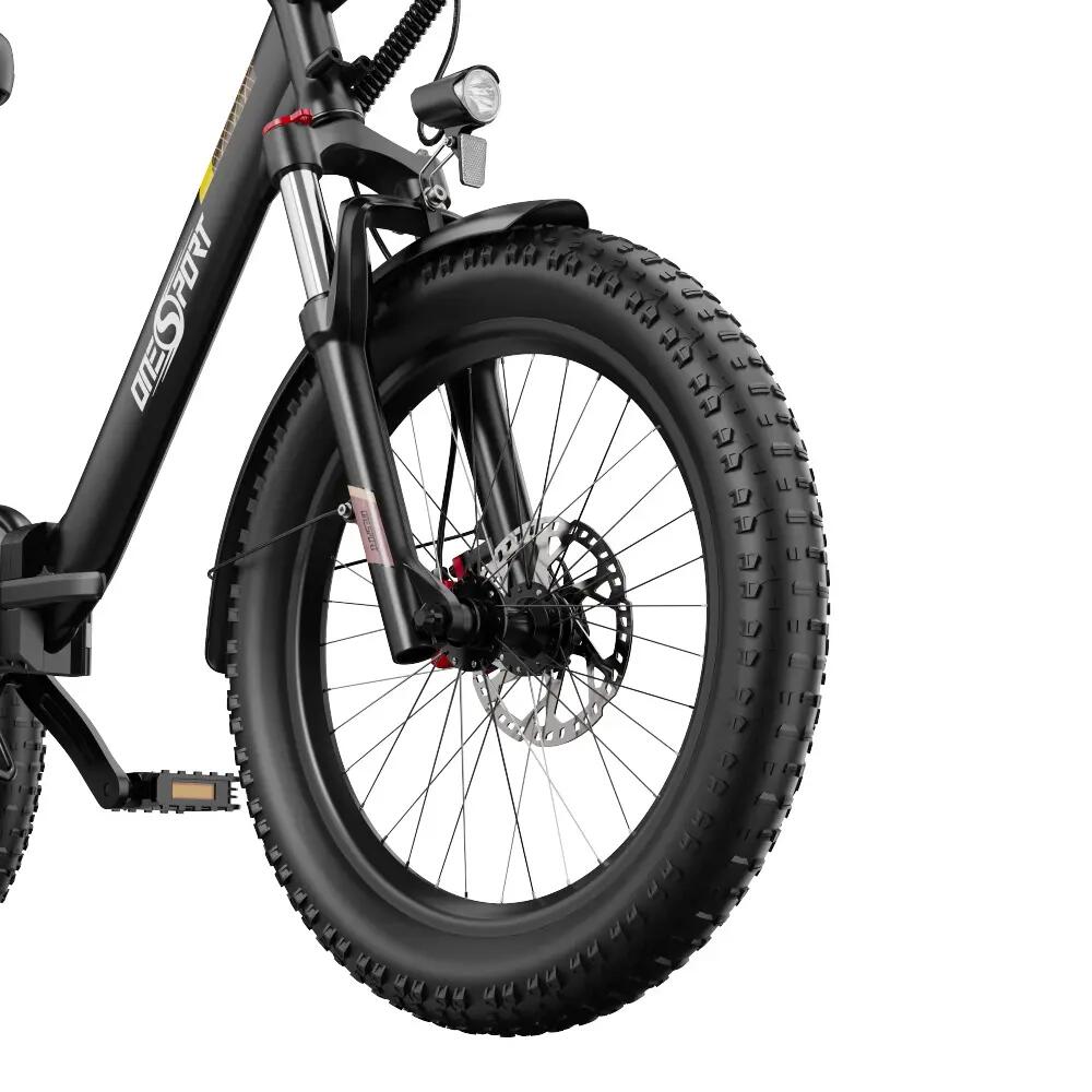 ONESPORT OT30 PRO Triciclo de carga, 48V 18Ah, 20 polegadas, todo terreno, 180kg 9/13