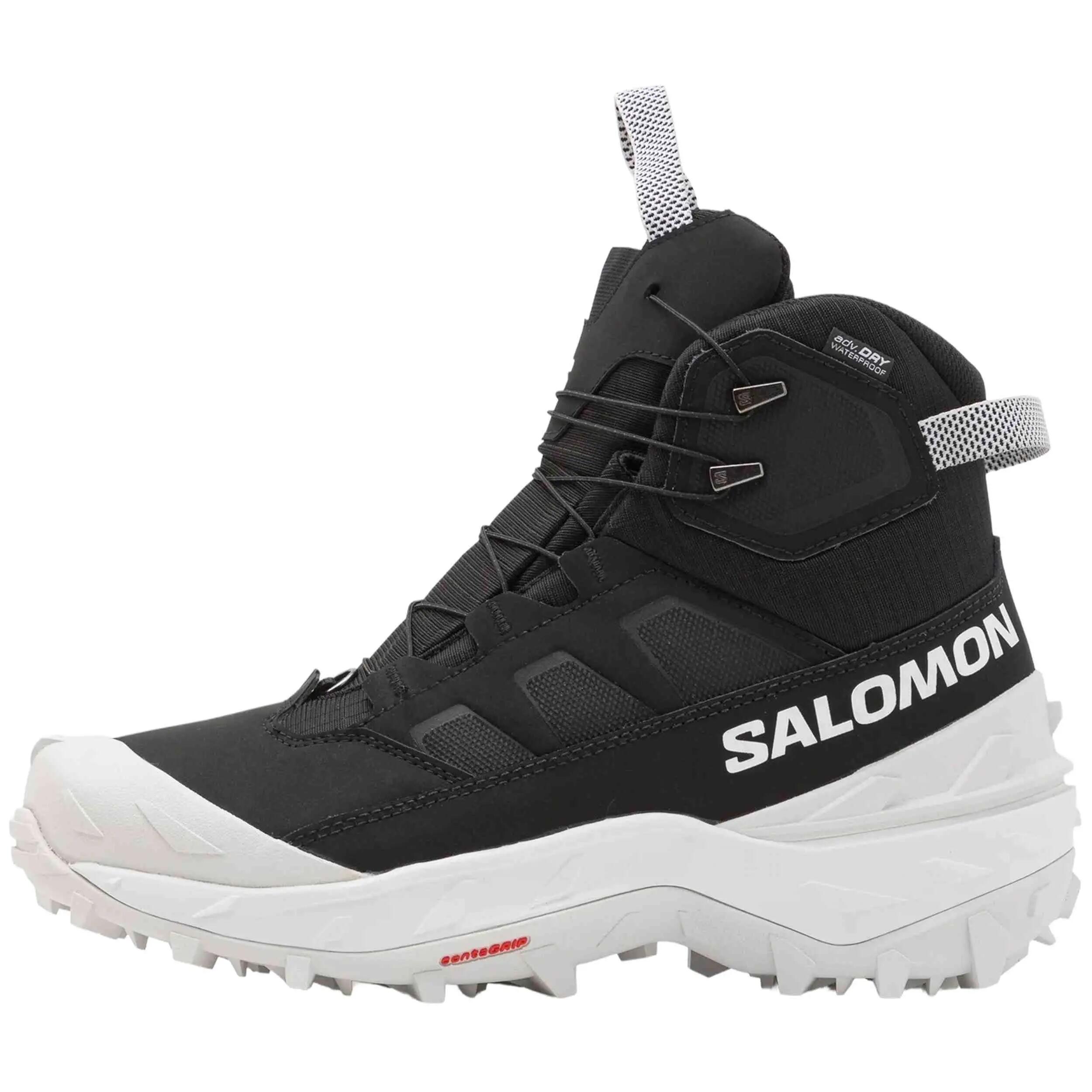 SALOMON picture