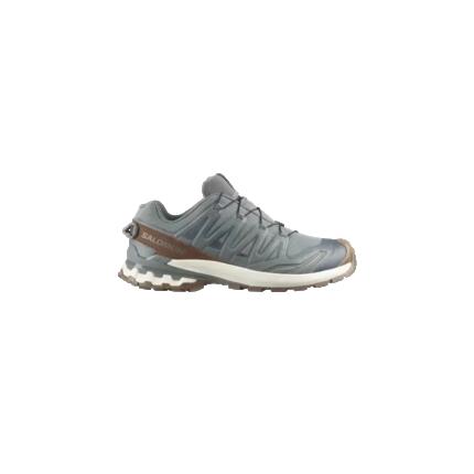 Trailrunning-Schuhe Salomon XA Pro 3D V9 GTX Lifelong Grün