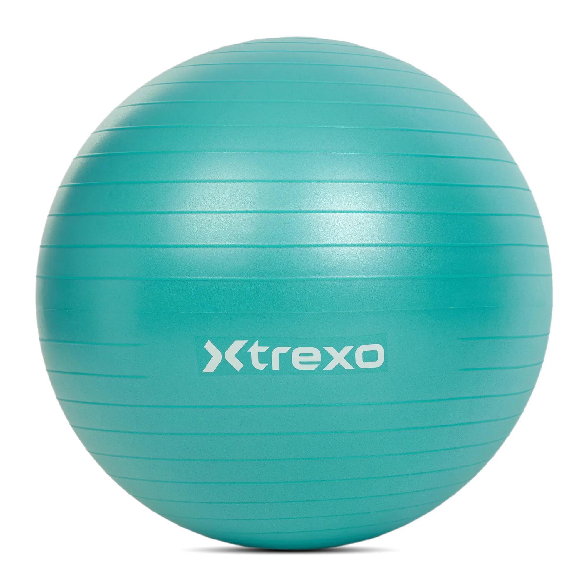 Gymnastický míč XTREXO 65 4/4