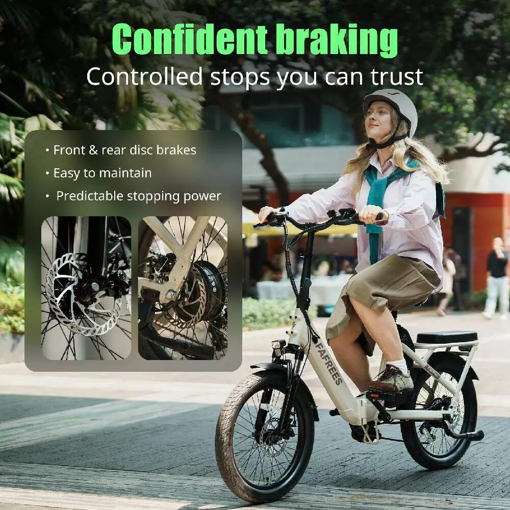 Elektrický bicykel Fafrees F20 Flex, Motor 250 W, Batéria 36V 20 Ah 14/15