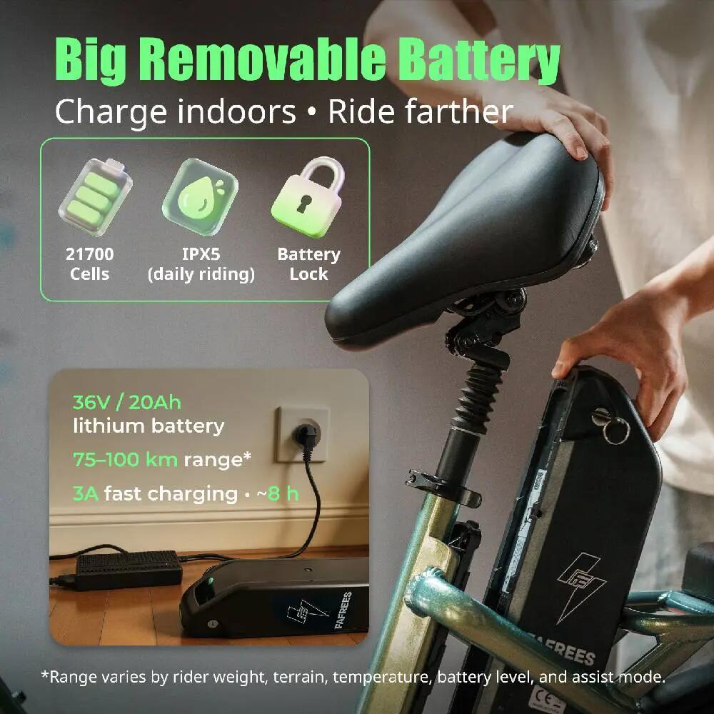 Elektrický bicykel Fafrees F20 Flex, Motor 250 W, Batéria 36V 20 Ah 11/15