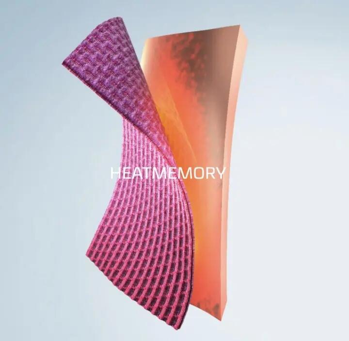 Evolutyon Biotech Thermal Jersey 9/10