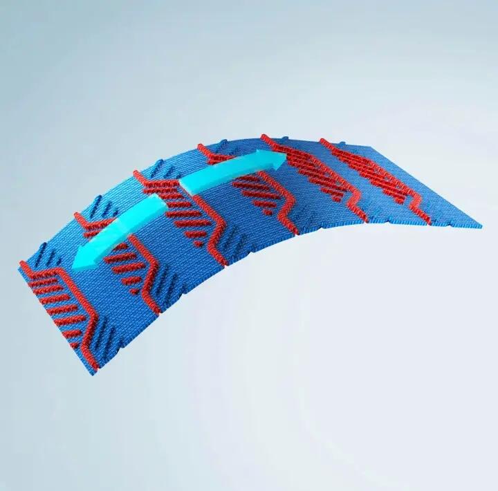 Resilyon Turtleneck Thermal Jersey 6/8