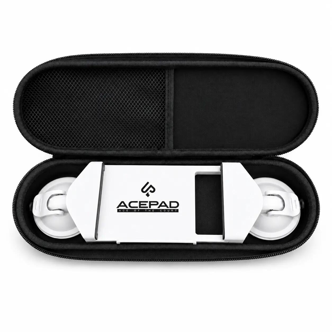 ACEPAD picture