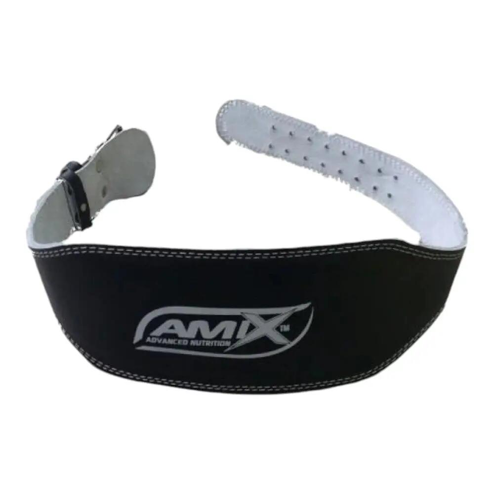 AMIX picture