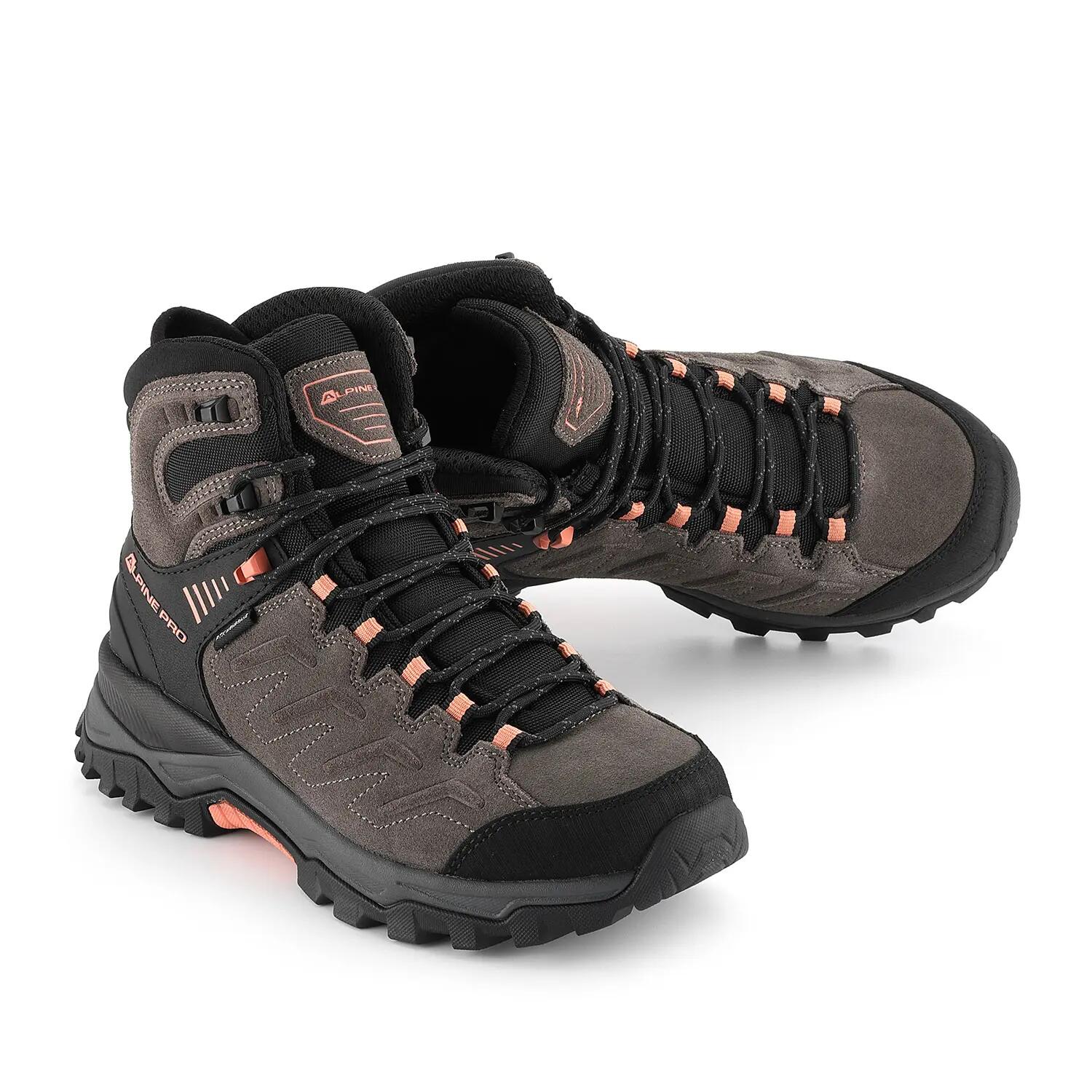 ALPINE PRO picture