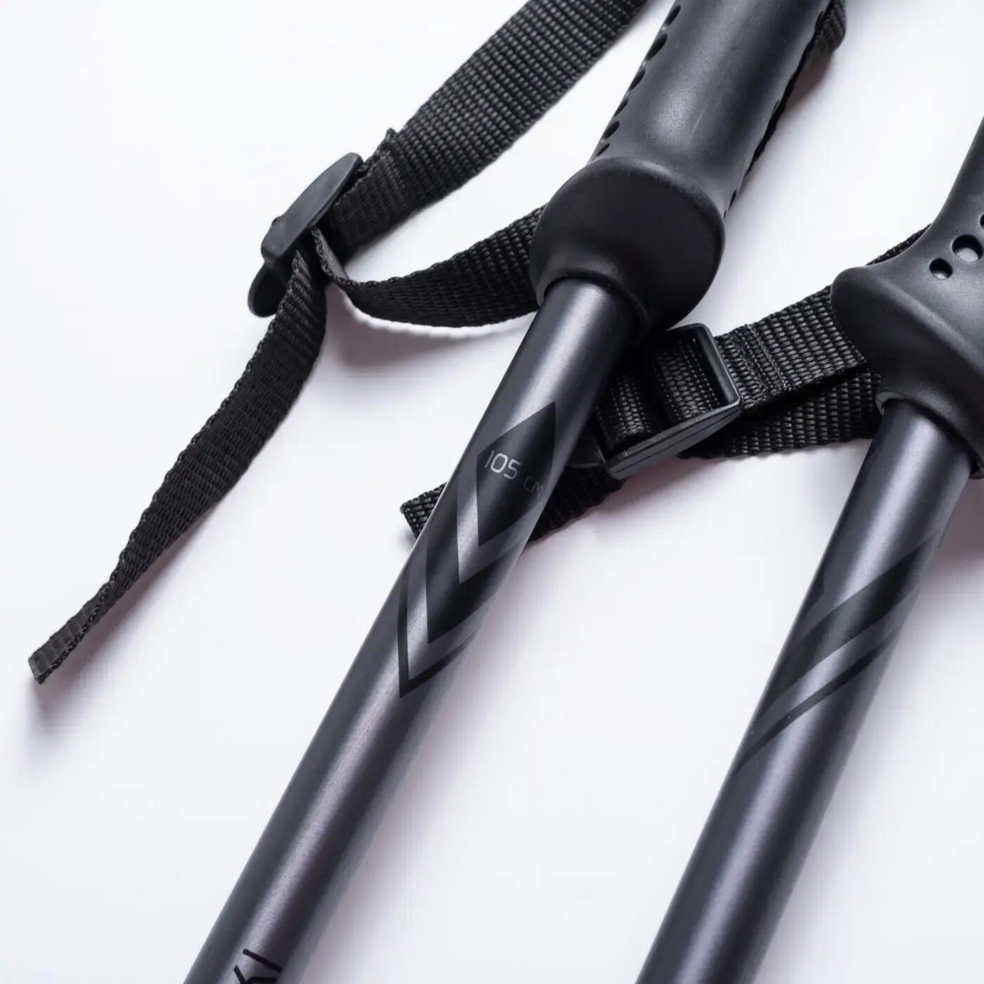 Ski poles Martes Alpine II 3/5