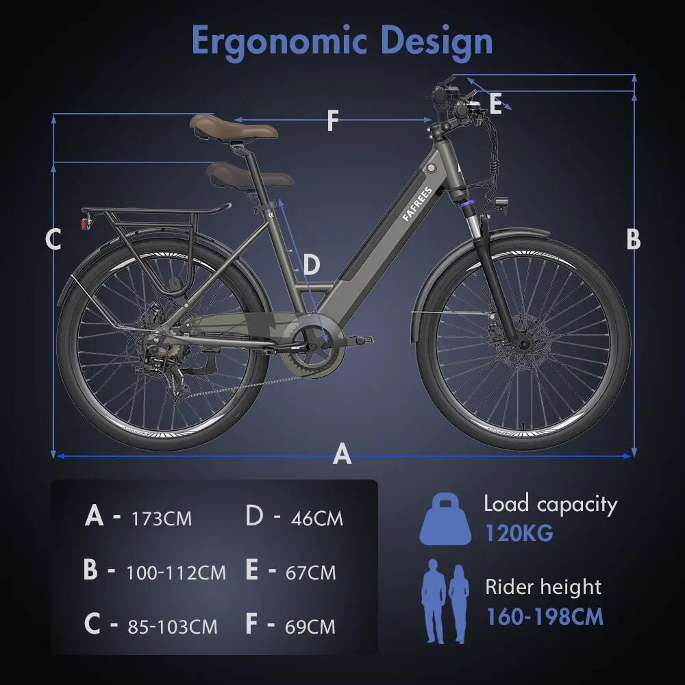 FAFREES F26 Pro Bici elettrica da città a scavalco basso 26'' 250W 36V 15Ah 14/15