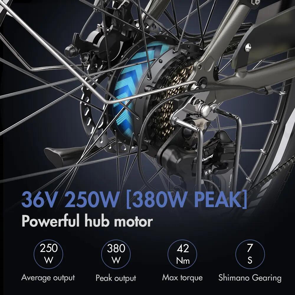 FAFREES F26 Pro Bici elettrica da città a scavalco basso 26'' 250W 36V 15Ah 11/15