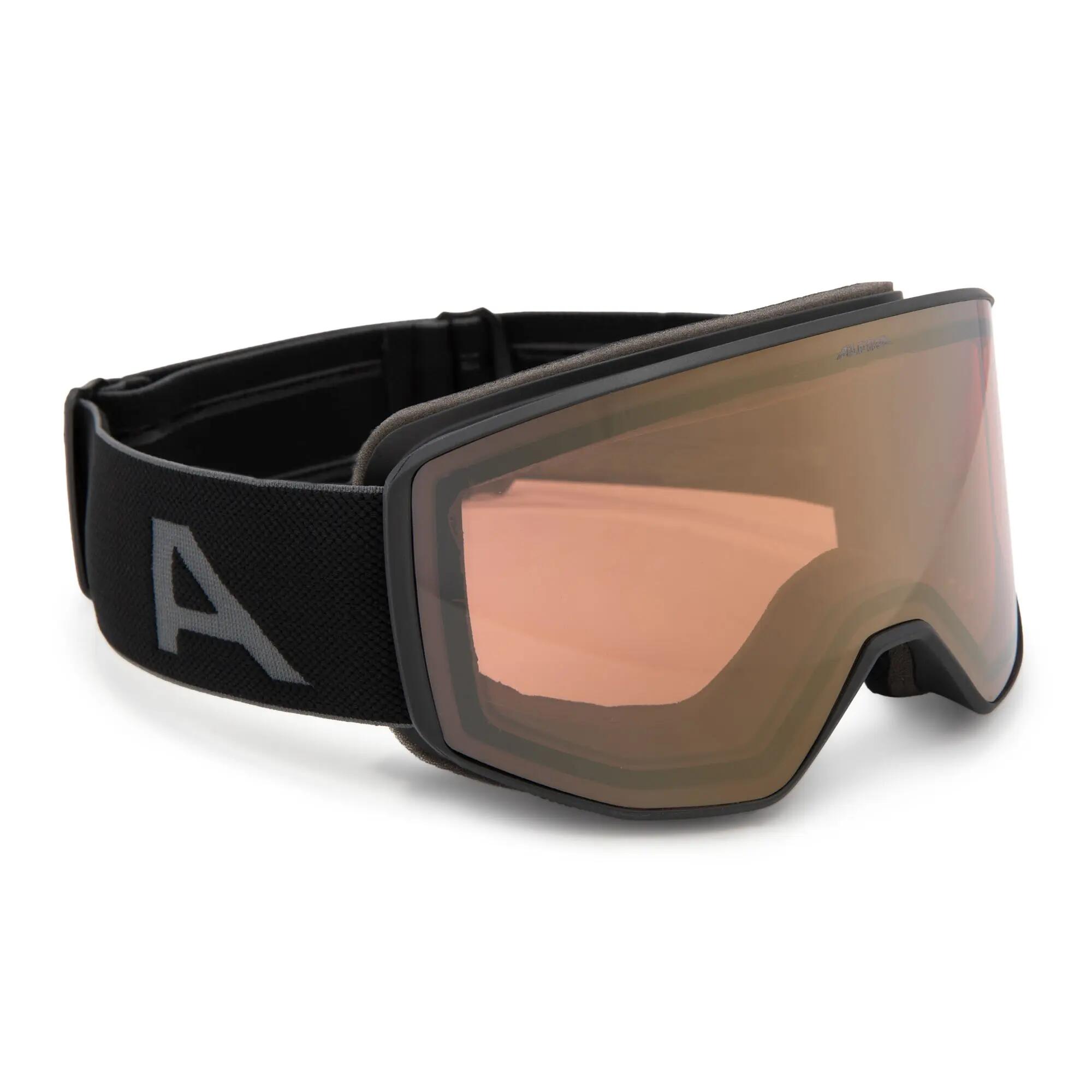 Gogle narciarskie Alpina Venet QV 5/5