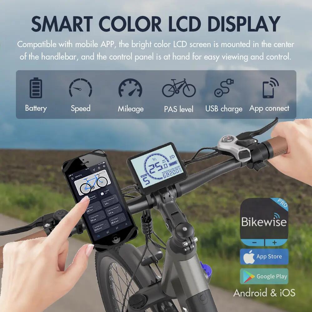 FAFREES F26 Pro Bici elettrica da città a scavalco basso 26'' 250W 36V 15Ah 13/15