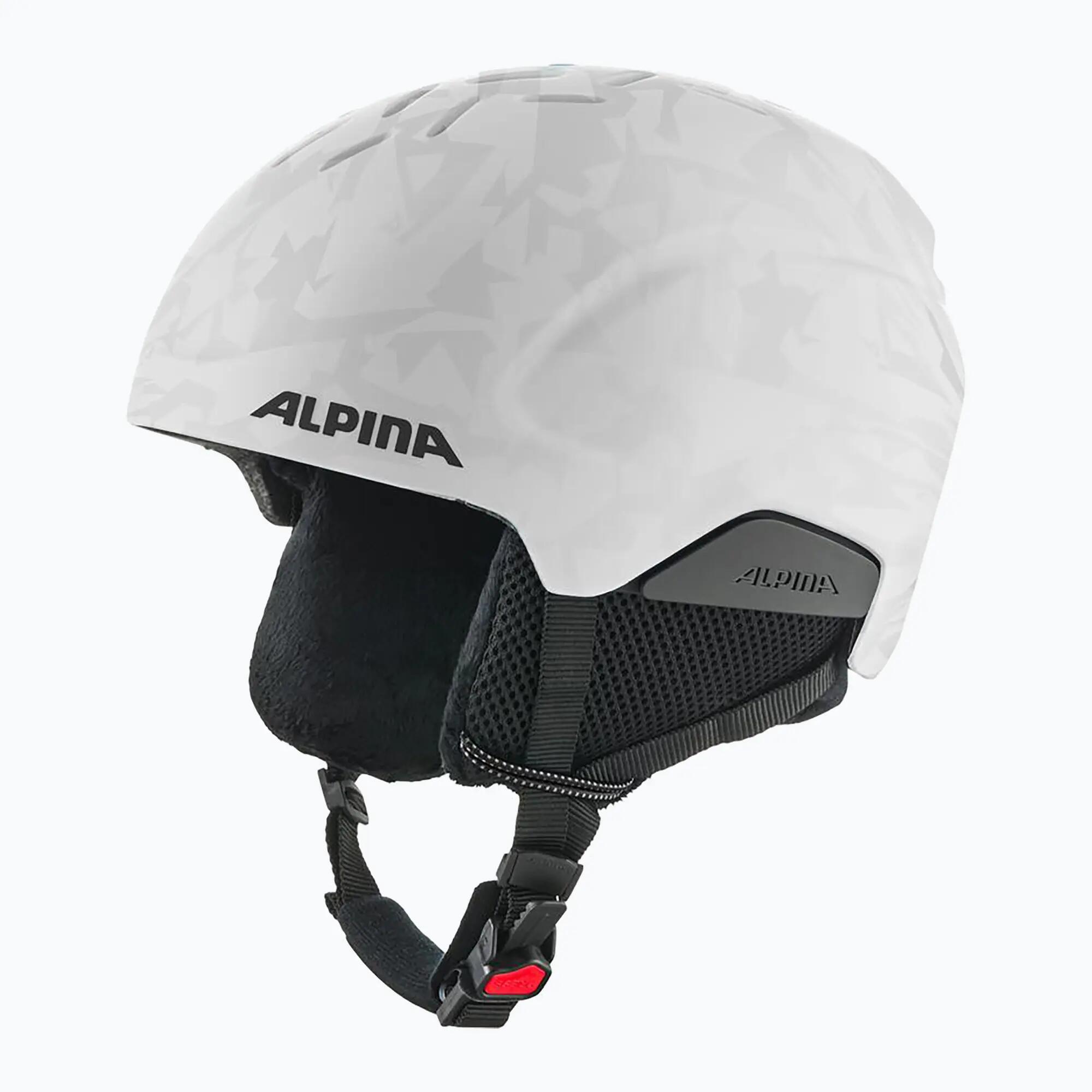 ALPINA picture
