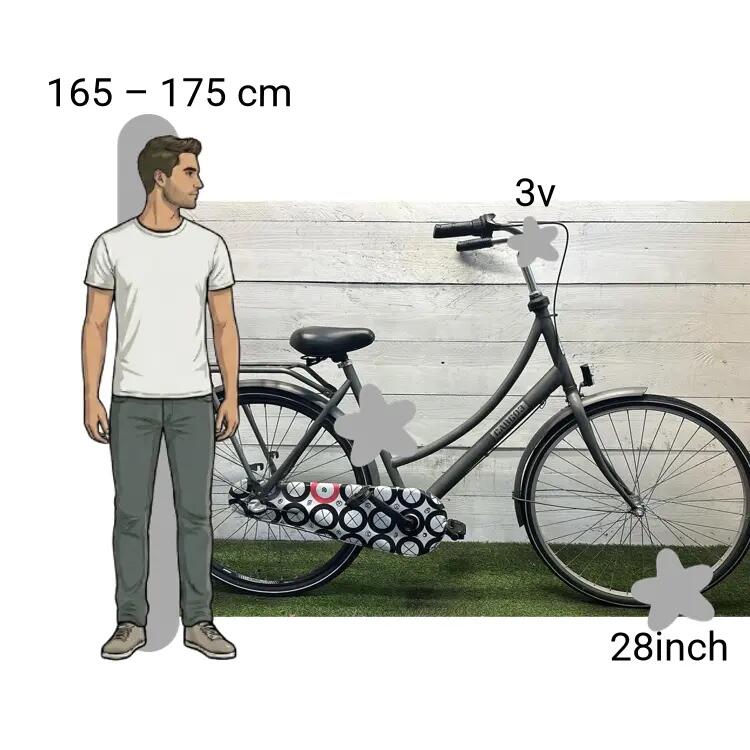 Vélo d’occasion Cargo 2/4
