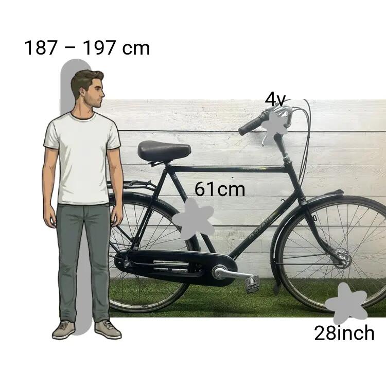 Tweedehands Gazelle Impala 2/4