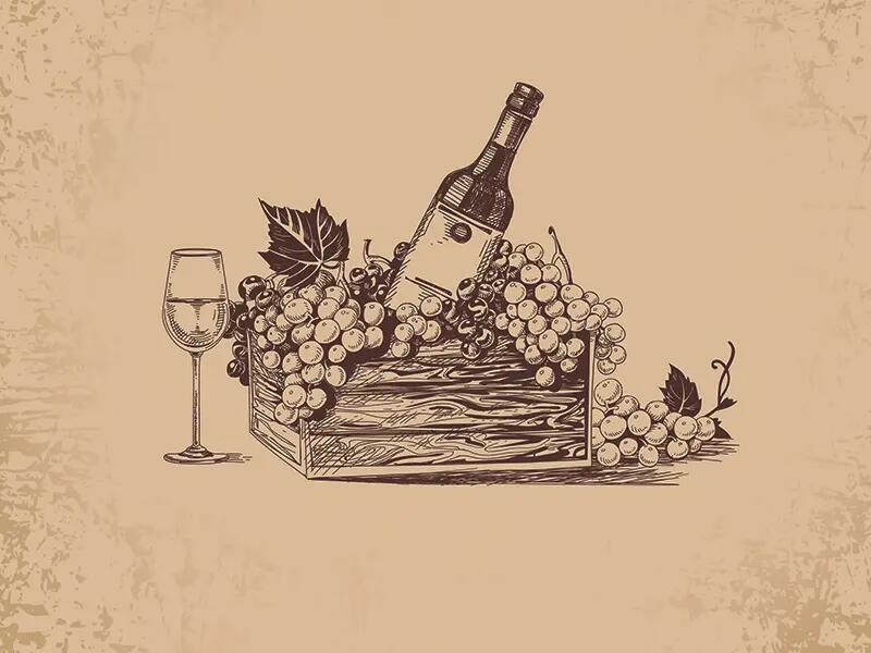 Pack Presente Odisseias - Vinhos e Petiscos | Experiência para 2 pessoas 4/6