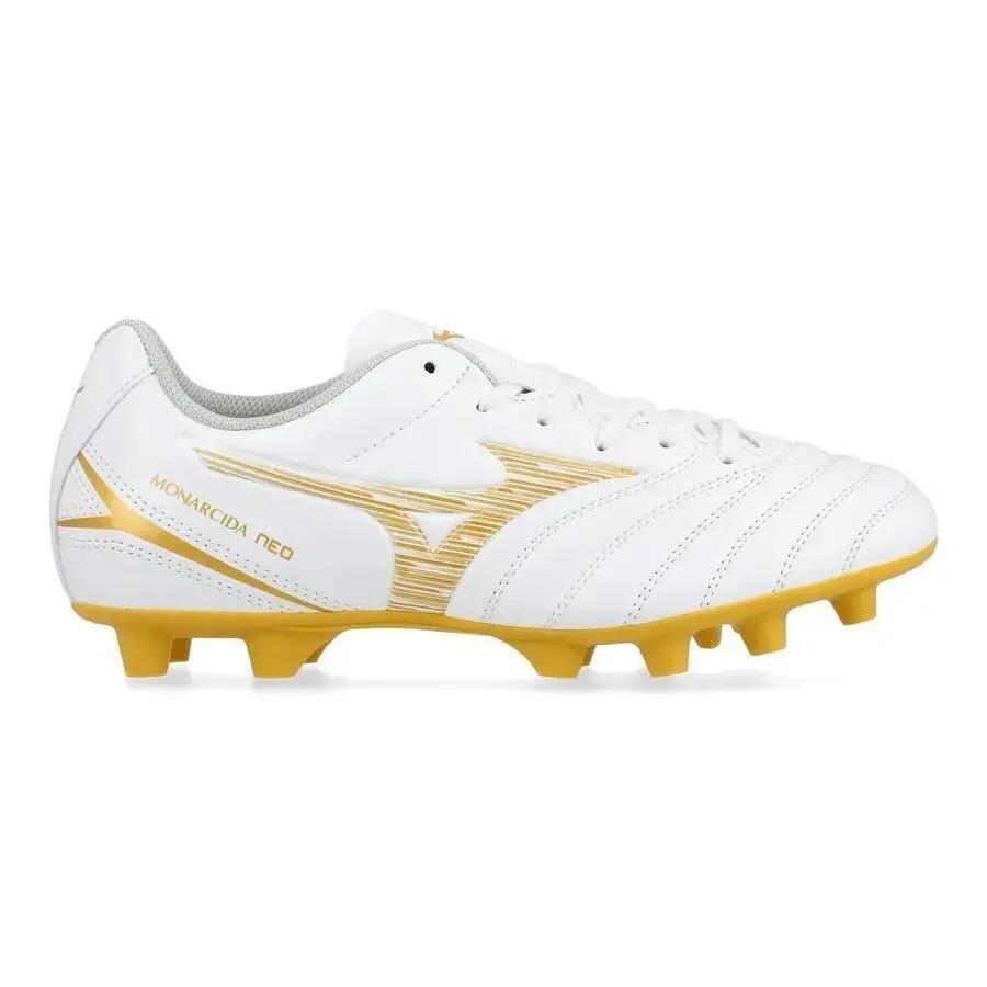 MIZUNO picture