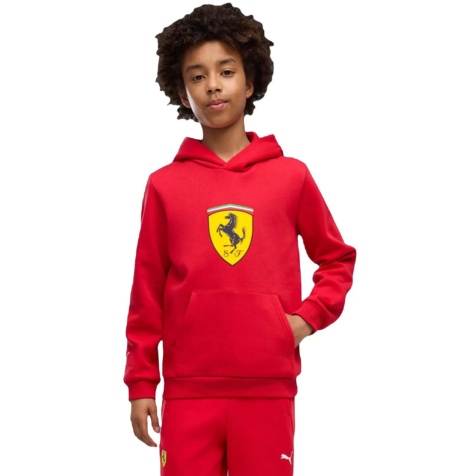 PUMA picture