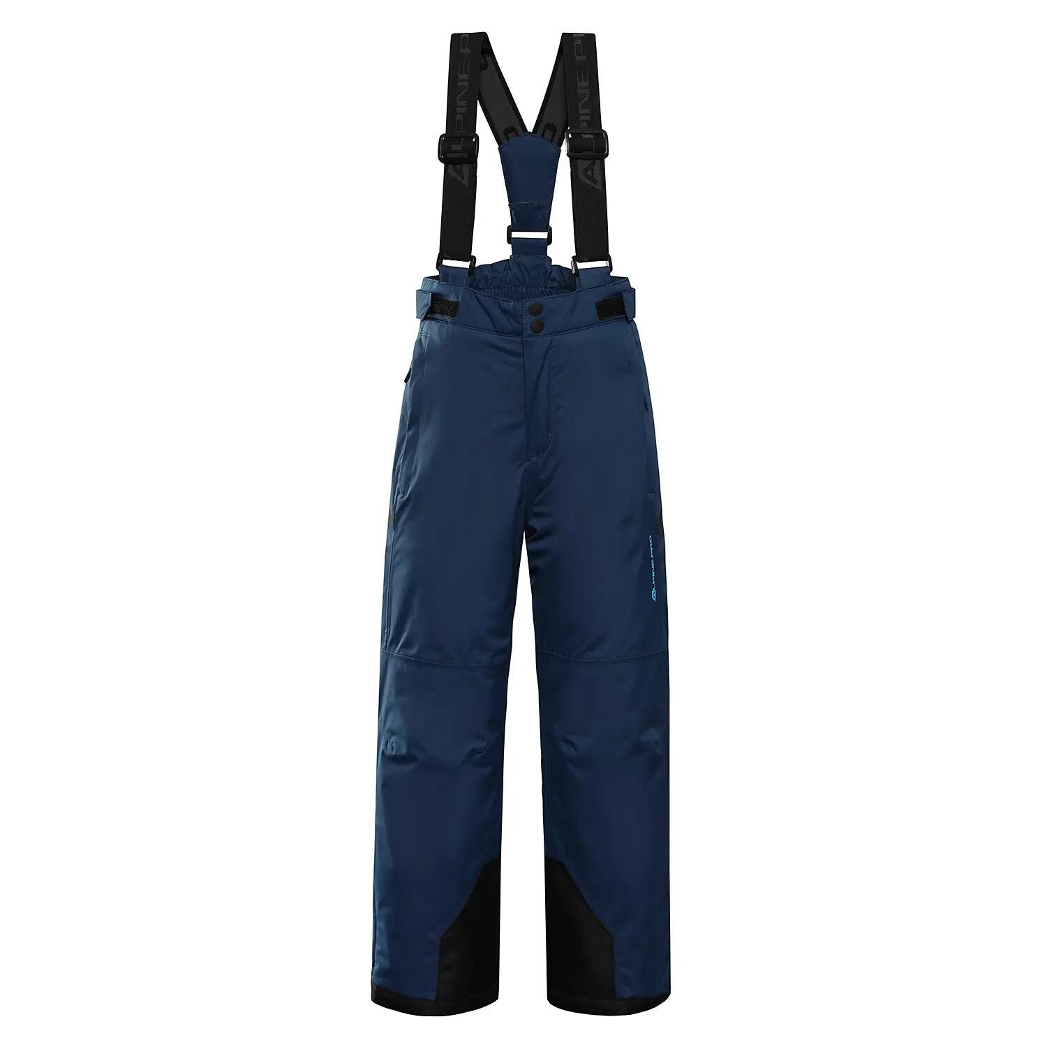 ALPINE PRO picture
