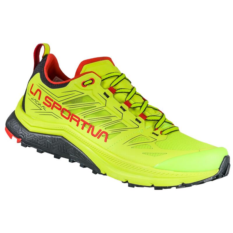 Chaussure de trail running pour homme Jackal