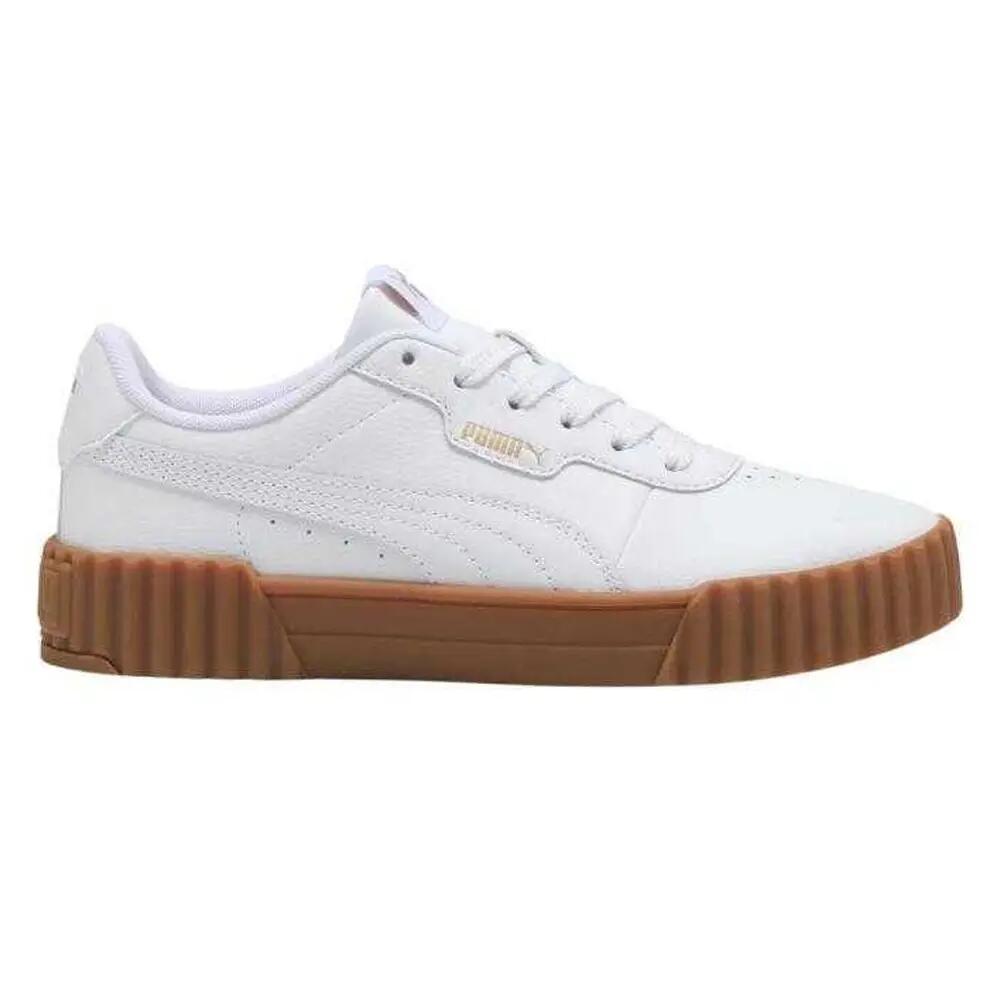 PUMA picture