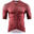 PIPPO Amsterdam Racing Jersey De Ronde Heren