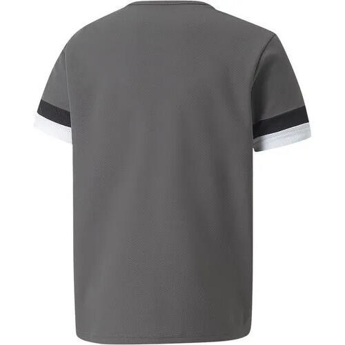 Camiseta niños Puma Team Liga 2/3