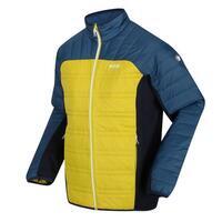 Halton V Homme Randonnée Veste Baffle - Jaune foncé / bleu foncé