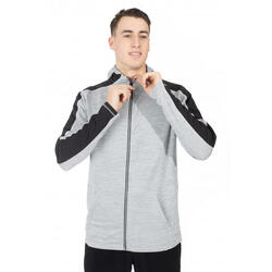 Veste à capuche Full Zip Gris