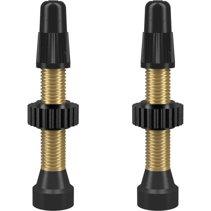 Valvole tubeless WTB presta laiton TCS