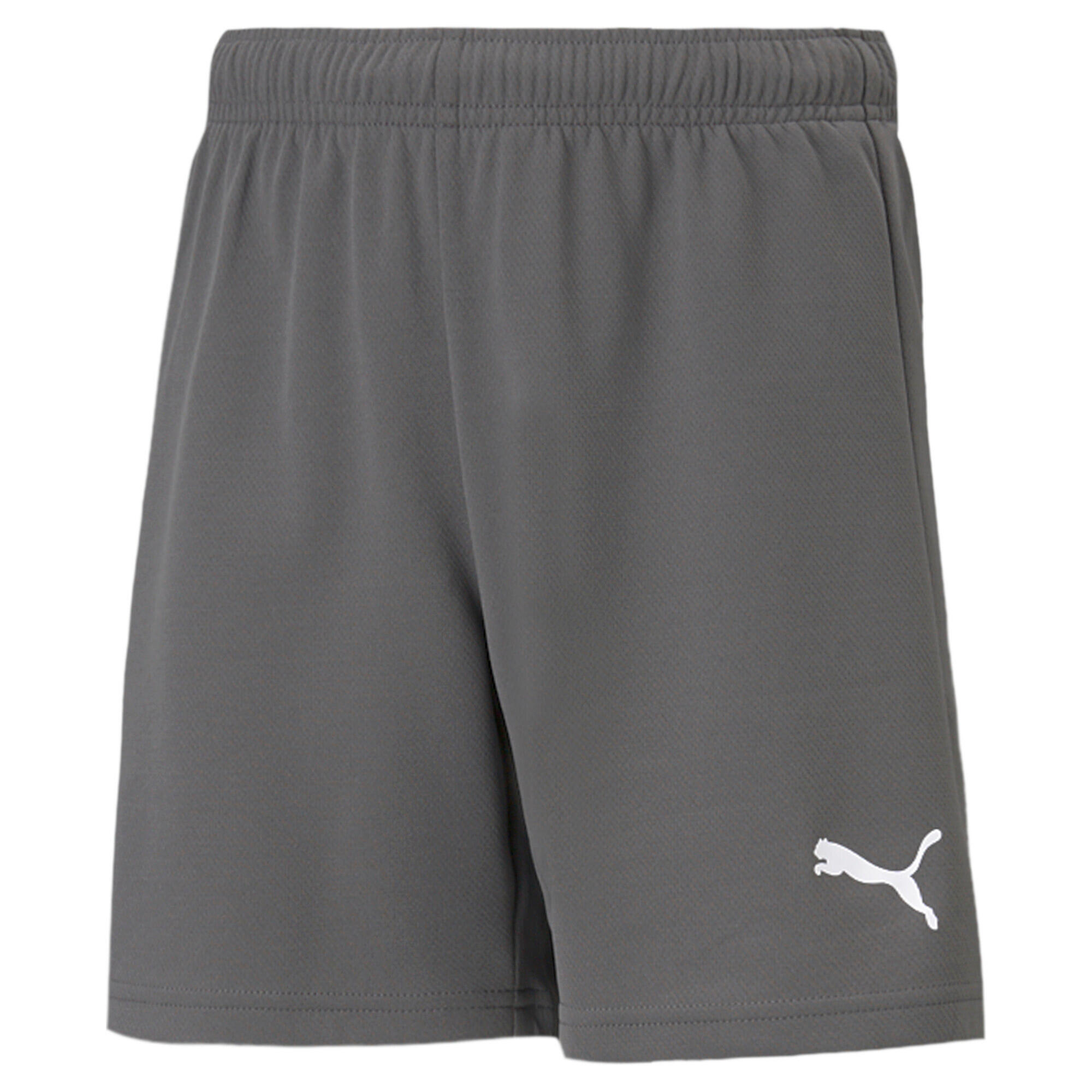 PUMA Pantaloni formazione ragazzo Puma Teamrise Short Jr