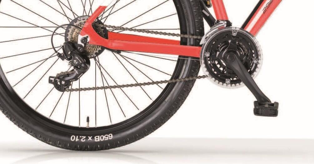 Mountainbike 29 Zoll  DART 2/4