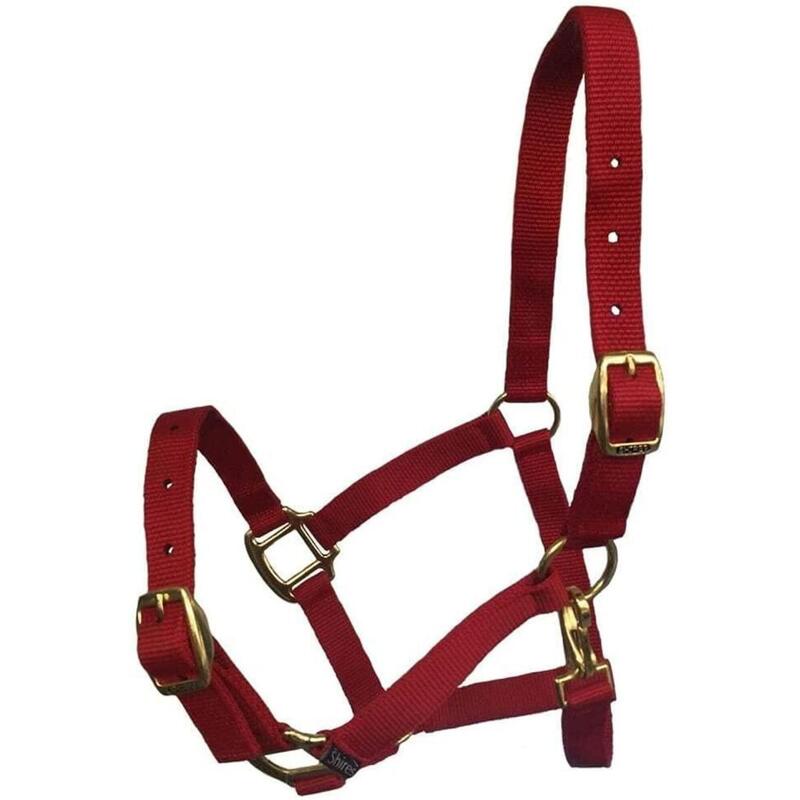 Licol en Nylon rouge pour cheval